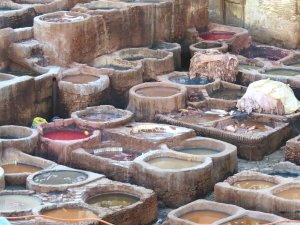 Fes Tannery